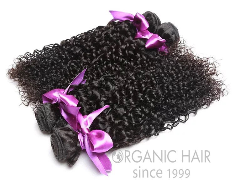 Curly virgin malaysian human hair extensions 